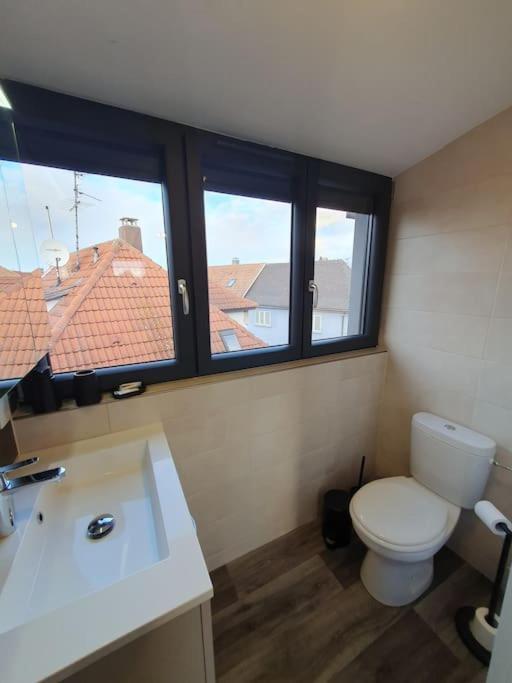 Appartement 2 Pieces Tout Confort, Aux Portes De Colmar Andolsheim Eksteriør billede