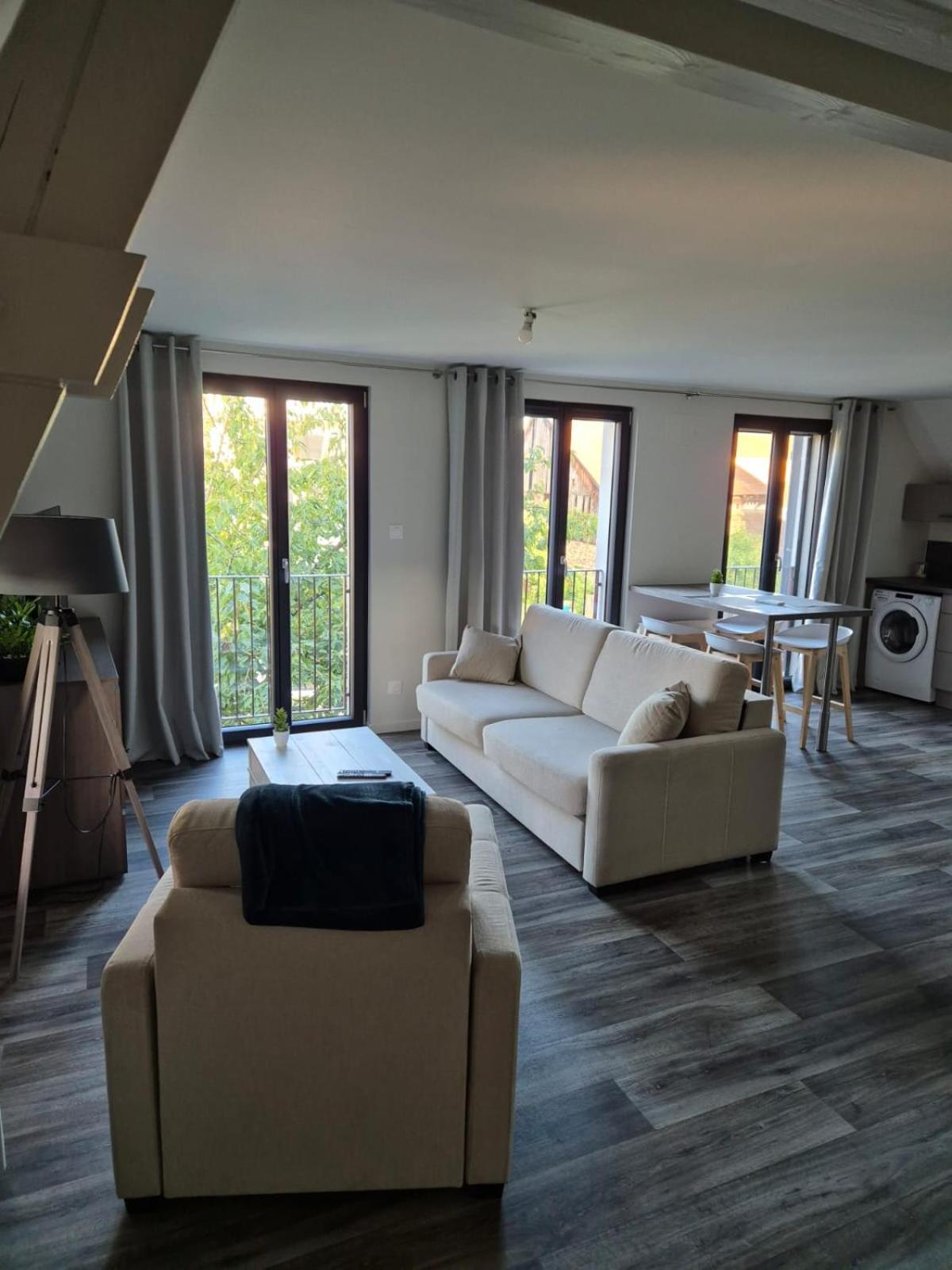 Appartement 2 Pieces Tout Confort, Aux Portes De Colmar Andolsheim Eksteriør billede